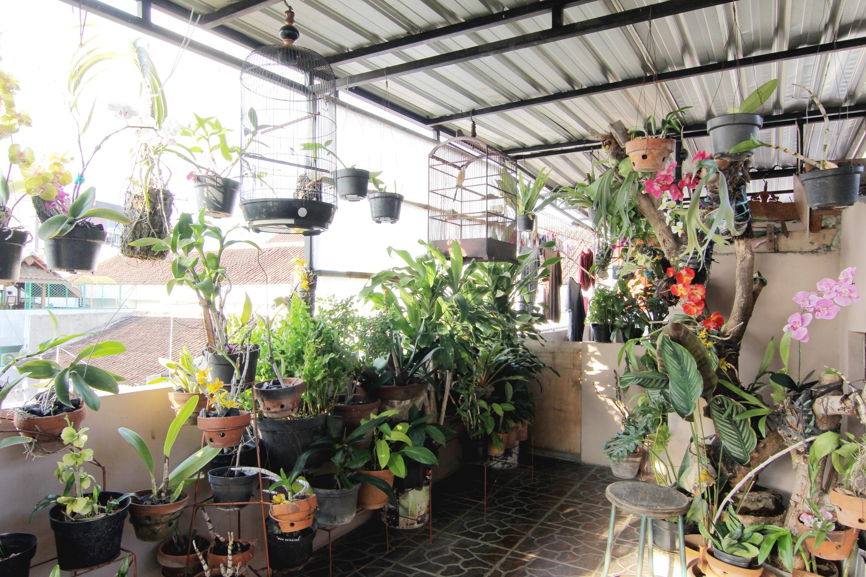 Wanderlust Homestay Yogyakarta Exterior photo